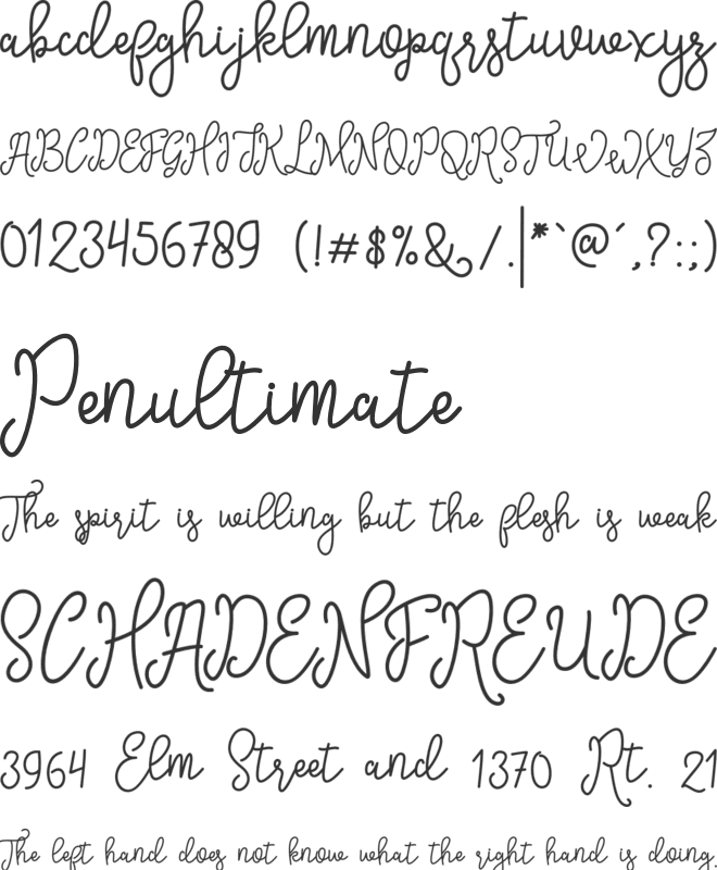 Sinyak Script font preview