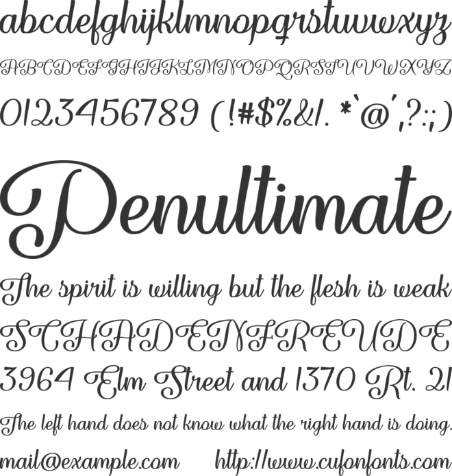 Forgiven Script font preview