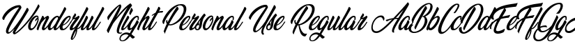 Wonderful Night Personal Use Regular font