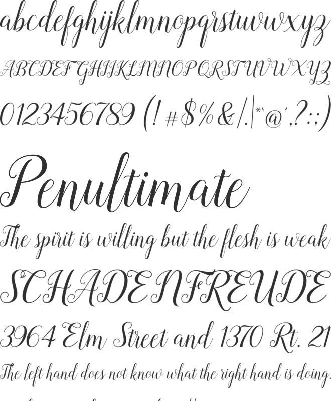 Revallyna font preview
