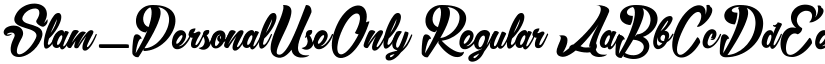Slam_PersonalUseOnly font download