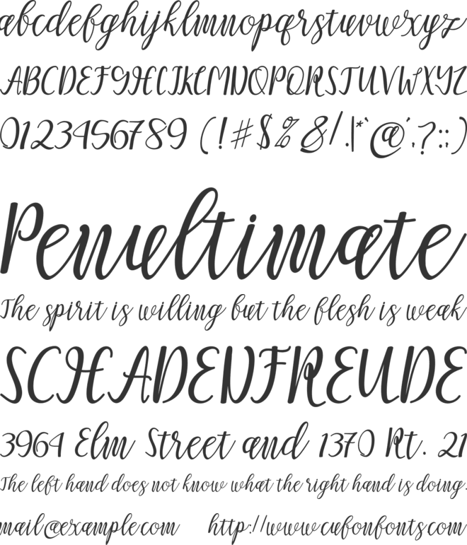 Mellitta Script font preview