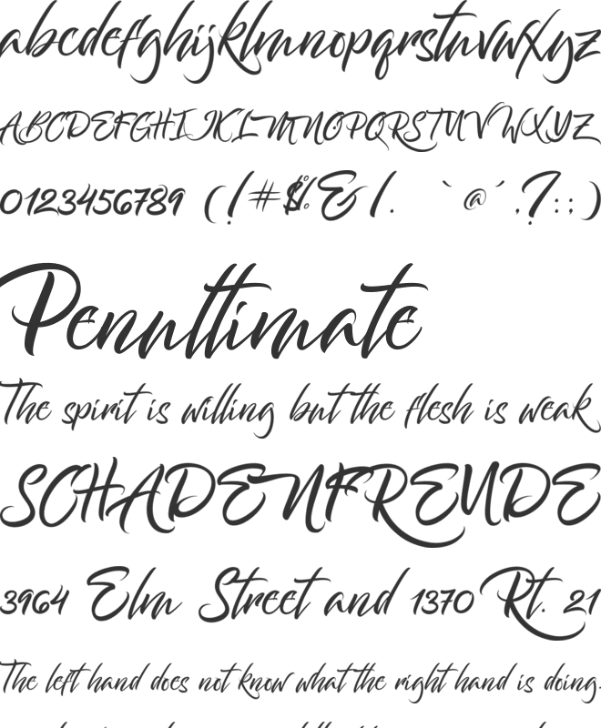 Bantham font preview