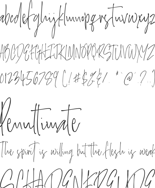 Salernitana Script font preview