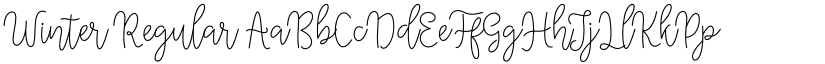Winter Regular font
