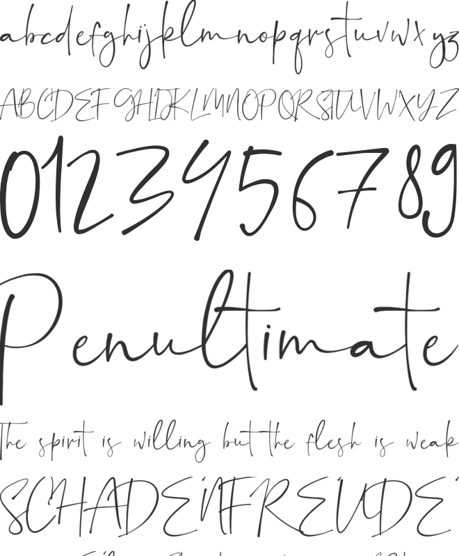 Ayustina font preview