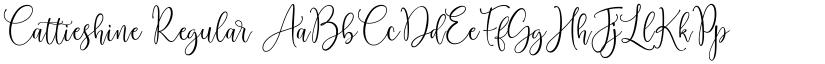 Cattieshine font download