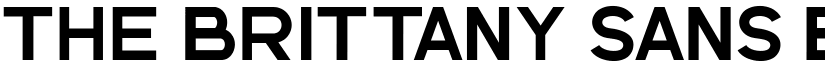 The Brittany Sans Bold Regular font