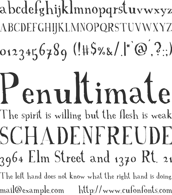 A Font with Serifs font preview