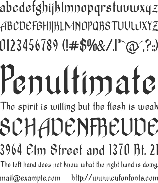 TheNovice font preview