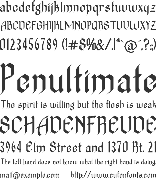 TheNovice font preview