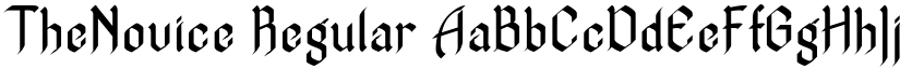 TheNovice Regular font