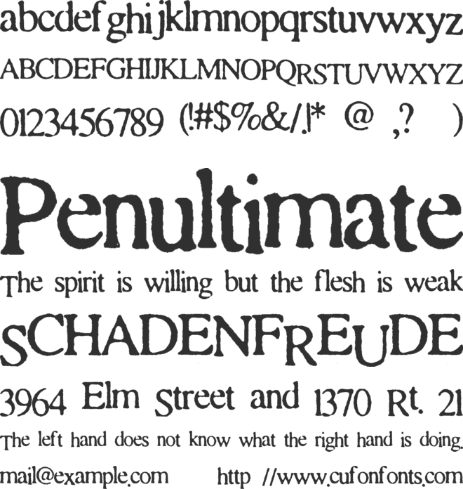 Times and Times again font preview