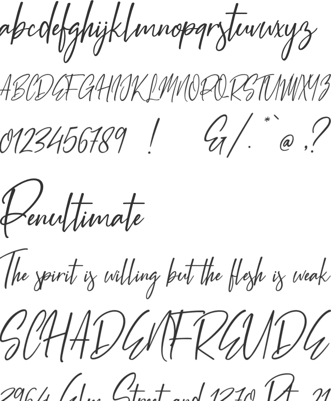White Pen font preview