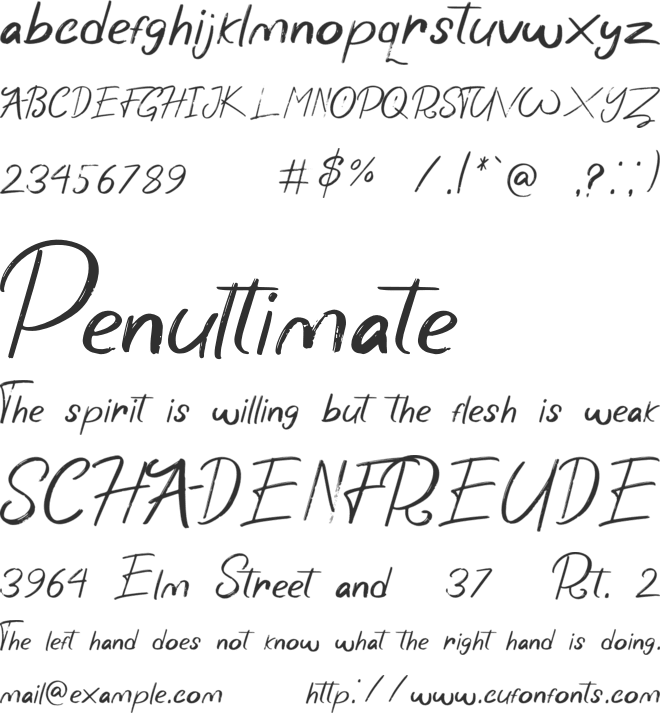 Wonder Scribble font preview
