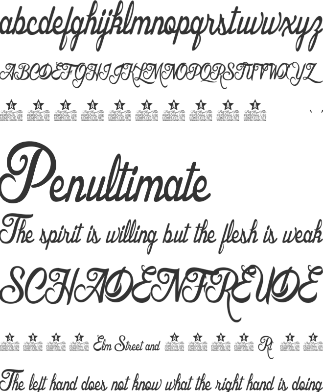 Hotel Costes Personal Use font preview