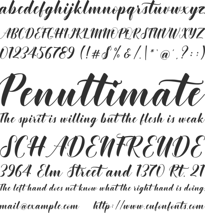 Khinta Script font preview