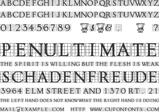 Timesnow font preview