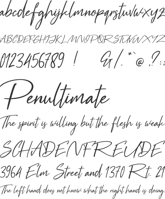 Black Pen font preview