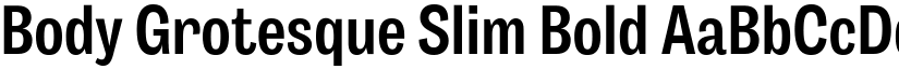 Body Grotesque Slim Bold font