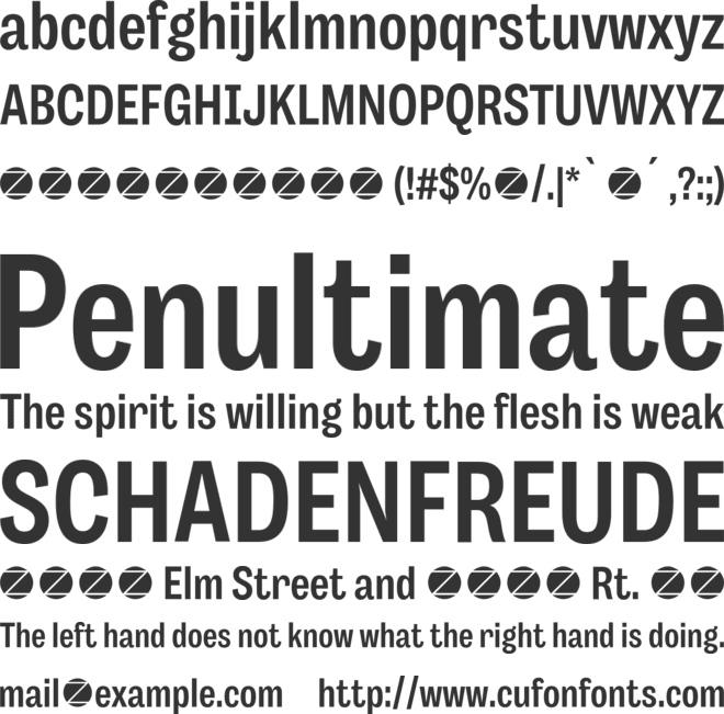 Body Grotesque Slim font preview