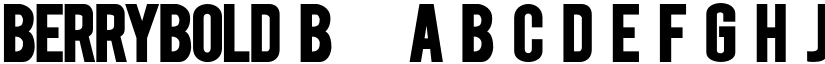 BERRYBOLD Bold font