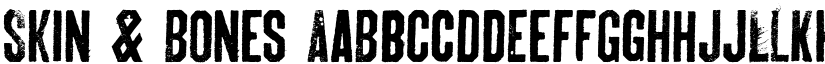 Skin & Bones font download