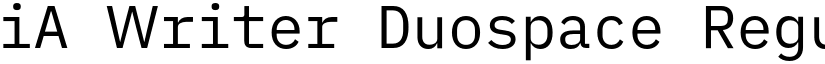 iA Writer Duospace Regular font