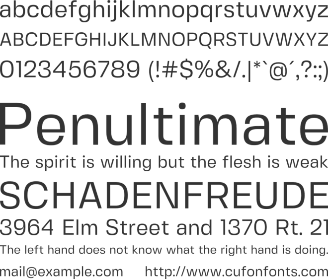 Fivo Sans Modern font preview