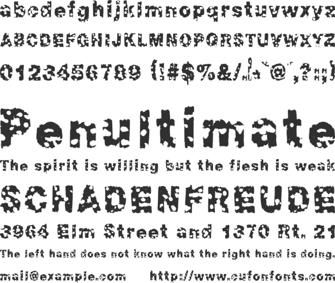 Chonky font preview