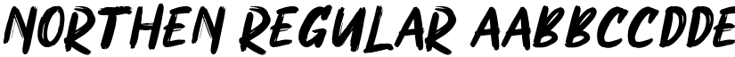 NORTHEN Regular font