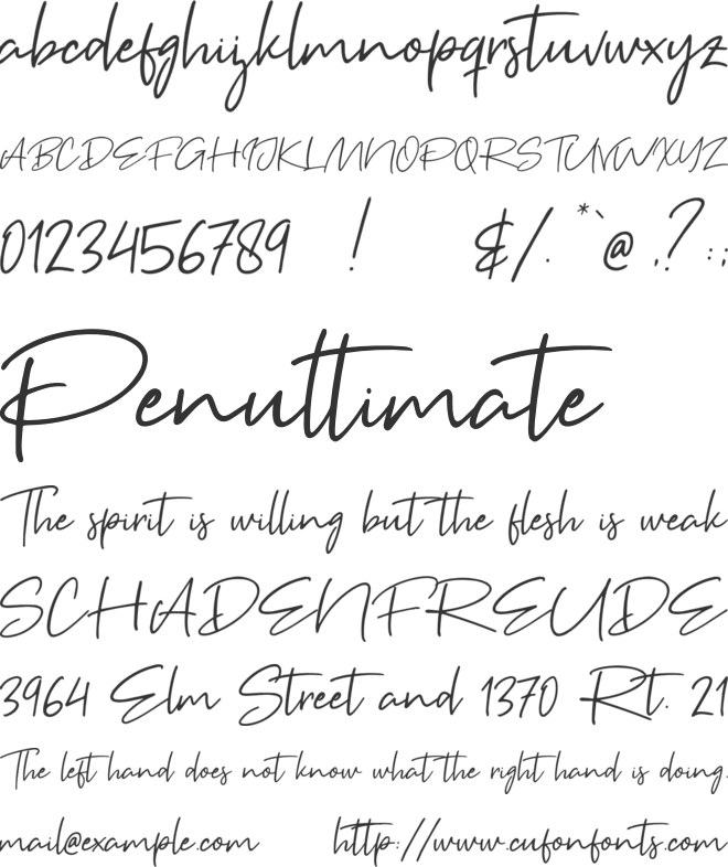 Brown Pen font preview