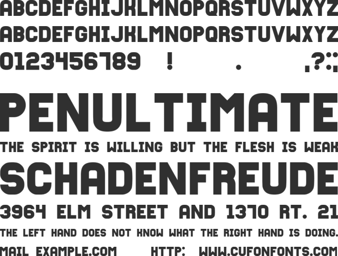 Fixation font preview