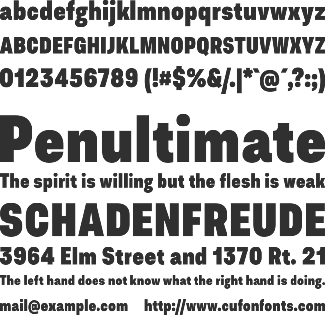 Asket Condensed font preview