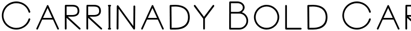 Carrinady Bold Carrinady Bold font