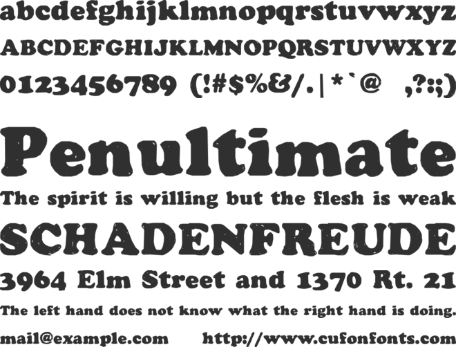 Manual Cookie Bucket font preview