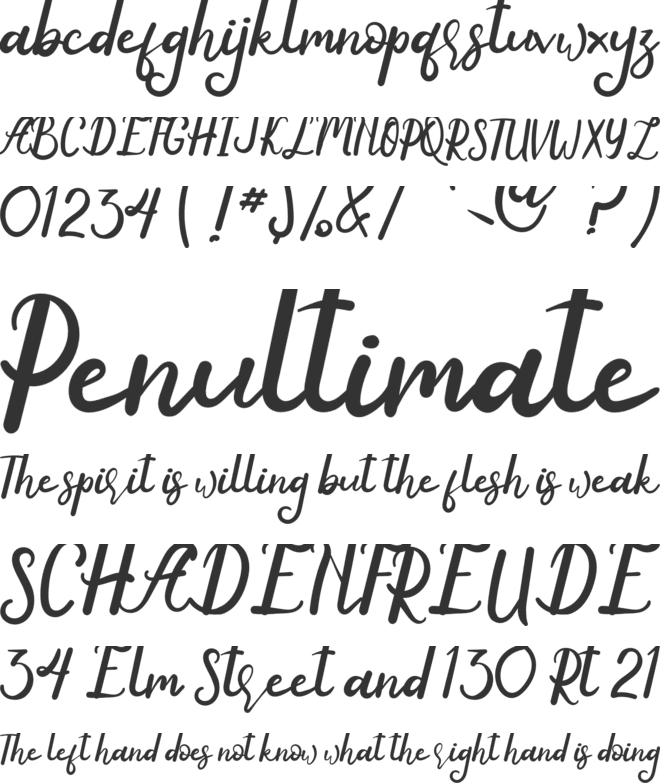 Anyone font preview