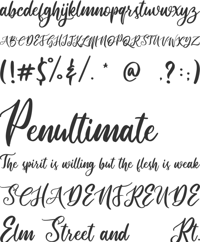 routher font preview