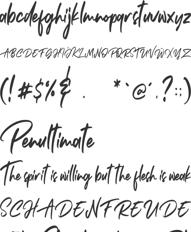 Janetta Rossie Solid font preview