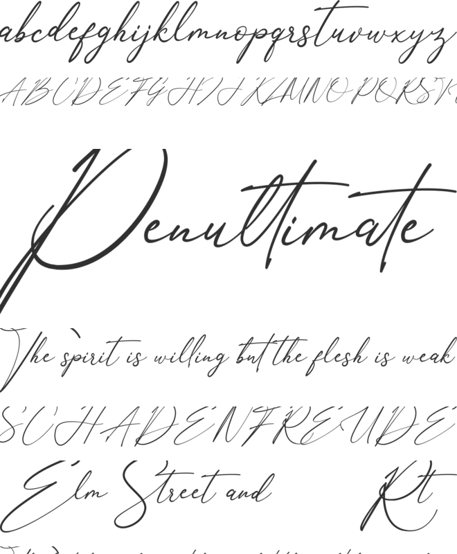 Anthoni Signature font preview