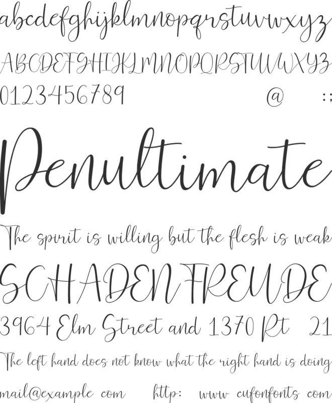Ferinitta font preview