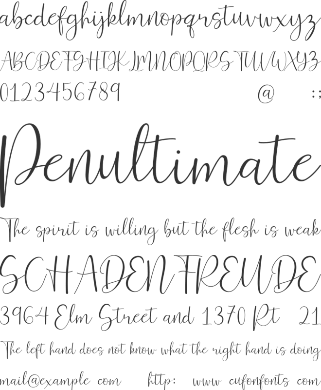 Ferinitta font preview