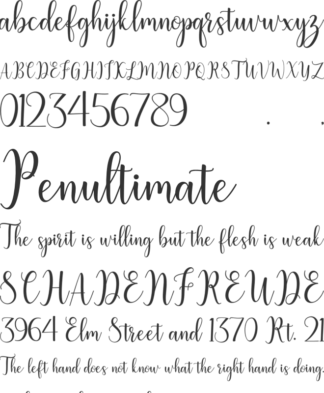 litesha font preview