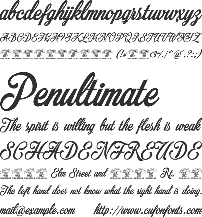 Mochary PERSONAL USE ONLY font preview