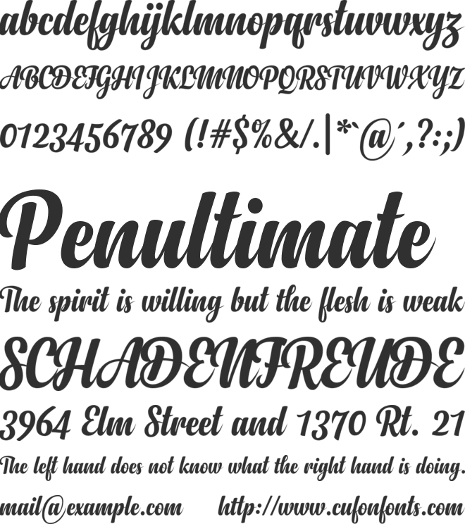 Anydore font preview