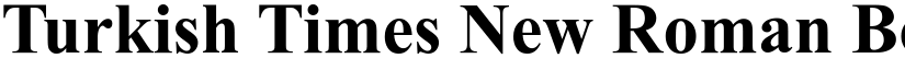 Turkish Times New Roman font download