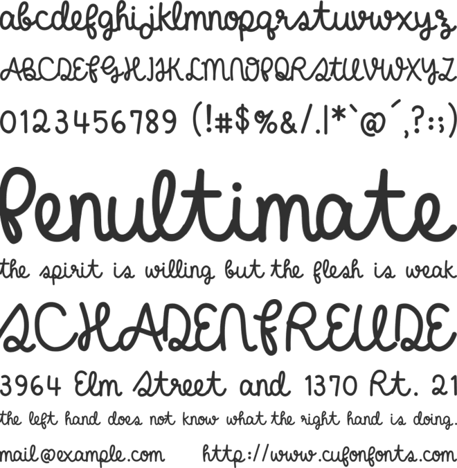 charleeboots font preview