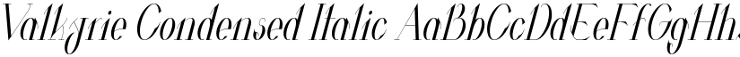 Valkyrie Condensed Italic font