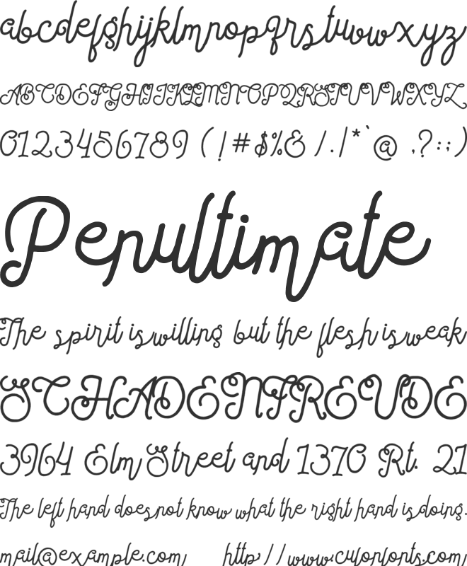 Sortdecai Cursive Wild Script font preview