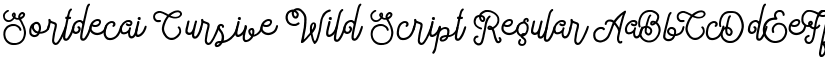 Sortdecai Cursive Wild Script Regular font